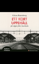 Ett kort uppehåll på vägen från Auschwitz