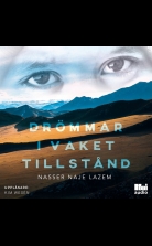 Drömmar i vaket tillstånd