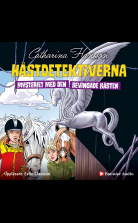 Mysteriet med den bevingade hästen