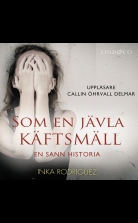 Som en jävla käftsmäll