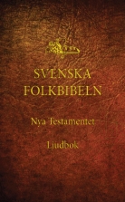 Nya testamentet (Svenska Folkbibeln 15), Ljudbok med bakgrundsmu
