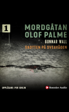 Skotten på Sveavägen