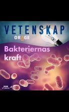 Bakteriernas kraft