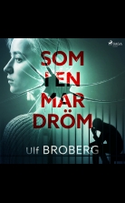 Som i en mardröm