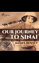 Our Journey to Sinai