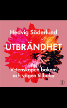 Den utbrända hjärnforskaren : personliga erfarenheter, fakta och