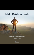 Fear in Consciousness