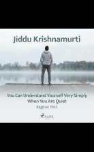 You Can Understand Yourself Very Simply When You Are Quiet ? Raj