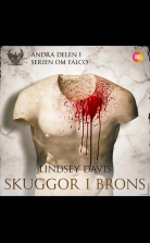 Skuggor i brons