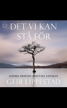 Det vi kan stå för