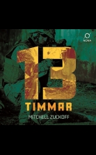 13 timmar