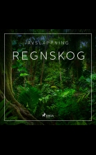 Avslappning - Regnskog