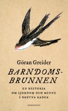 Barndomsbrunnen : en historia om sjukdom och minne i brutna rade