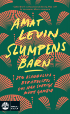Slumpens barn : den osannolika berättelsen om när Sverige mötte